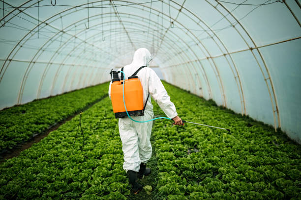 Best Local Pest Control Services  in Whidbey Island Station, WA
